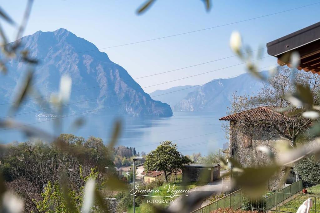 Il Giardino Di Laura Apartment Costa Volpino Ngoại thất bức ảnh
